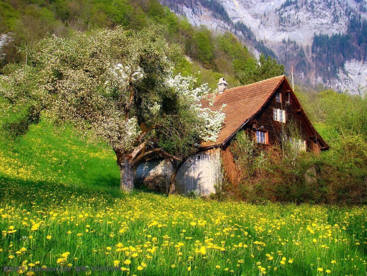 春天绿色美景 春天 春季 美景 大自然 小木屋 自然景观 自然风景