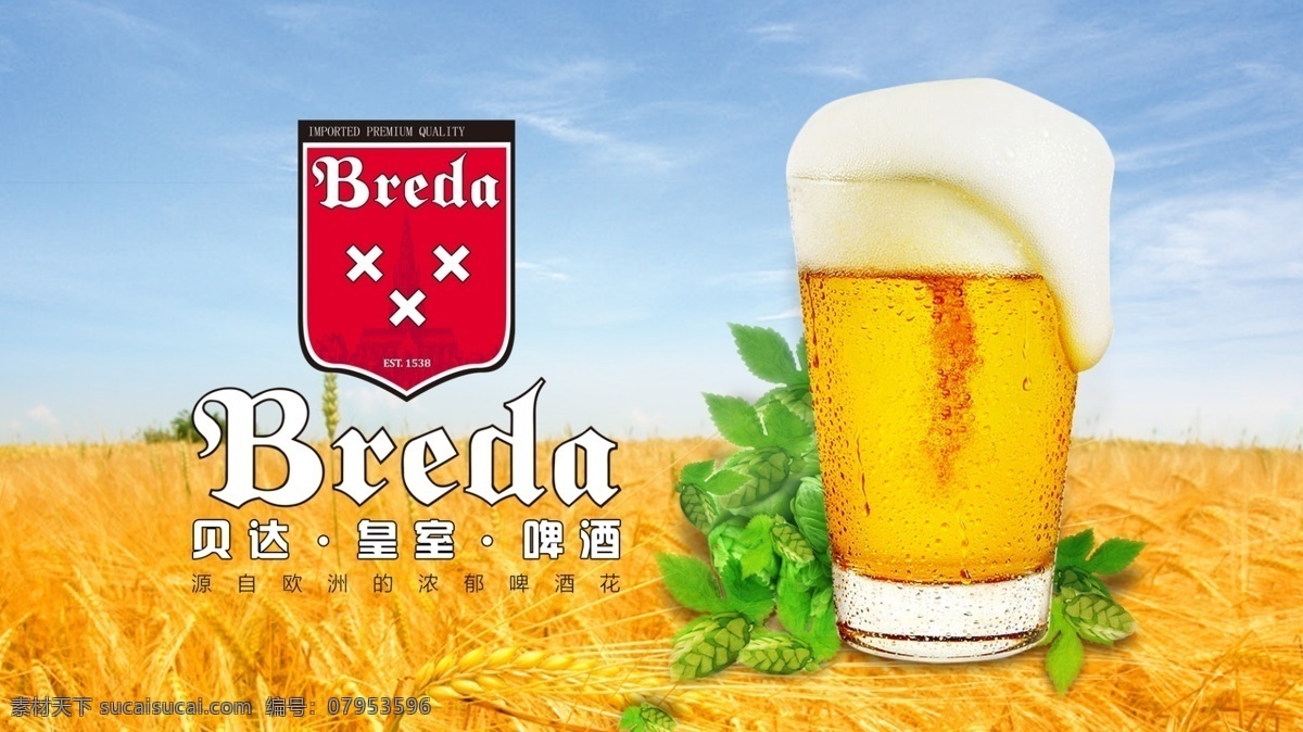 贝达 皇室 啤酒 广告 啤酒杯 金色麦田 海报