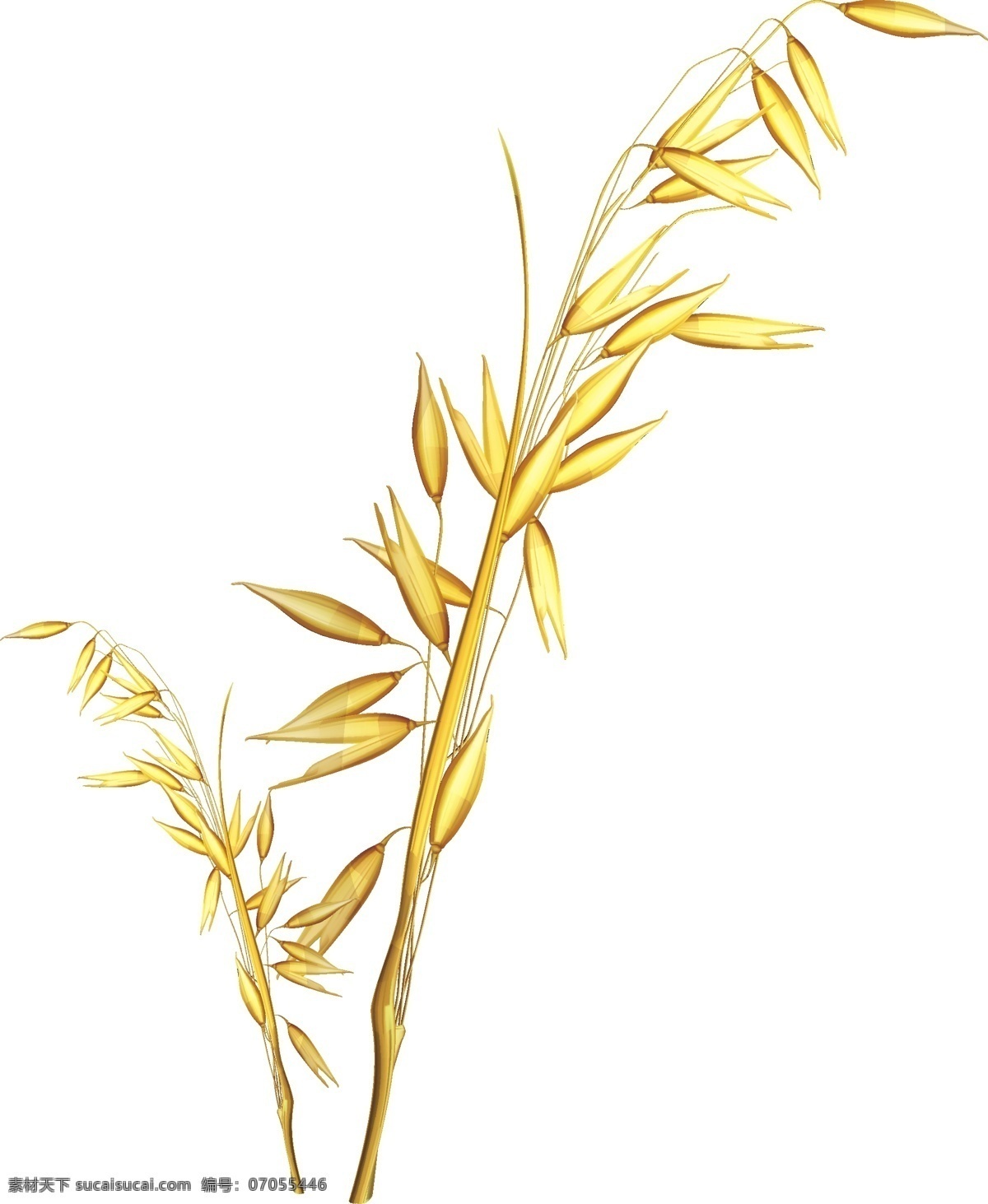 秋收 收获 季节 小麦 麦穗 麦子 秋季 水稻 大麦 分层 免抠 平面 矢量