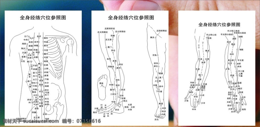 經(jīng)絡(luò)圖 人體 經(jīng)絡(luò) 針灸 穴位 保健 按摩 養(yǎng)生 理療 矢量 醫(yī)療保健 生活百科