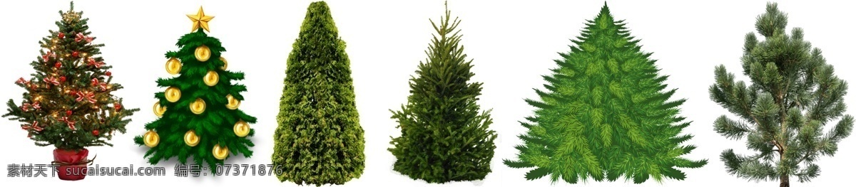 圣诞树 免 扣 高清 素材图片 圣诞树png 圣诞树psd 圣诞树素材 植物素材 各种 生物世界 树木树叶