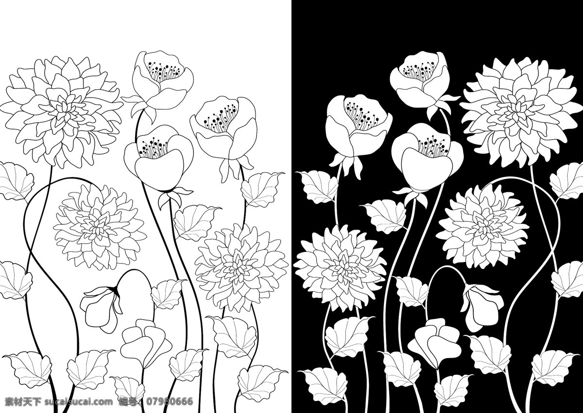 黑白 花朵 装饰 矢量 黑白花朵 装饰画 卡通植物 花瓣 美丽鲜花 高清图片