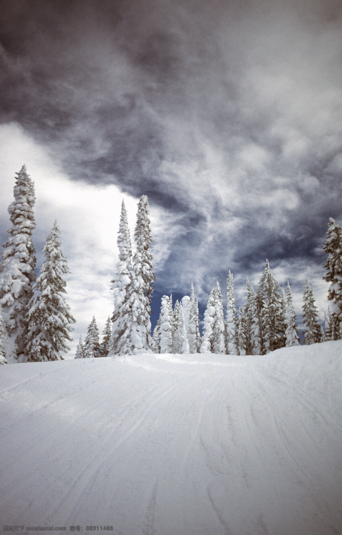自然雪景摄影 高清图片 jpg图库 摄影图片 自然景观 自然风光 森林 自然风景 风景图片 旅游胜地 旅游风光 树林 雪景 雪地 雪 积雪 冬天景象 雪景摄影图片 灰色