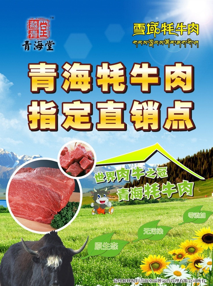 牦牛肉 展銷 海報 牦牛 草原 牛 牛肉 陽光 藍天 白云 高原 花 天空 山 雪山 直銷 指定點 西藏 青藏 矢量