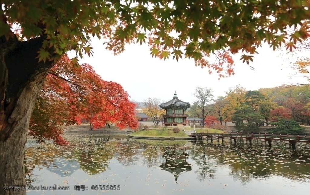韩国首尔 景福宫建筑 韩国风景图片 韩国风景 韩国 景福宫 旅游 亚洲 宫殿 旅游摄影 国外旅游