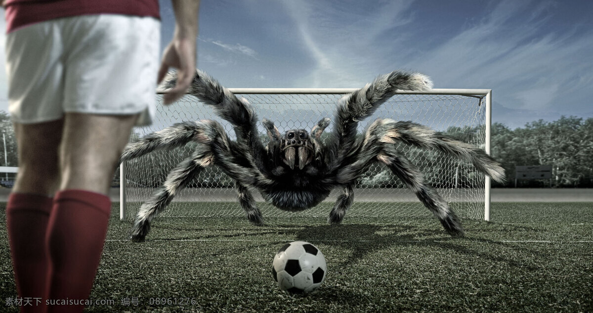 蜘蛛 足球 守门员 创意 壁纸 黑色