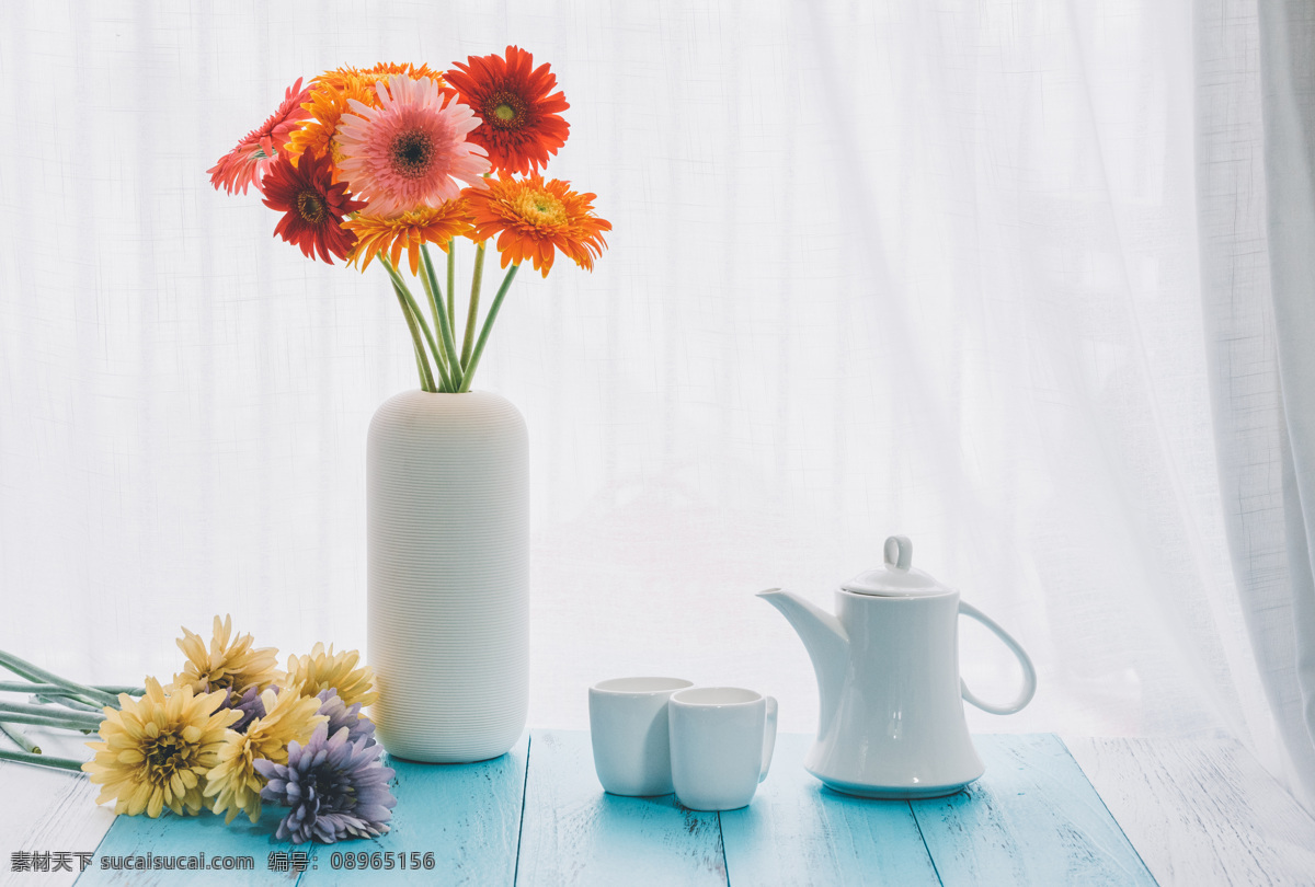 桌子 上 菊花 靜謐 安靜 茶杯 自然生物 生物世界 花草