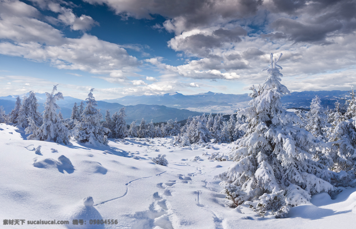 美麗 雪地 風(fēng)景 美麗冬天雪景 美麗冬季雪景 美麗風(fēng)景 樹林雪景 山水風(fēng)景 風(fēng)景圖片