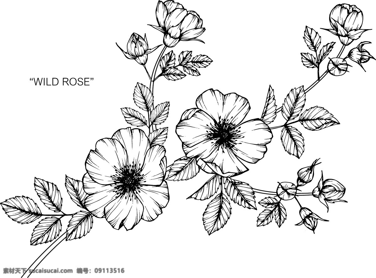 植物 線 稿 花 黑白花 線稿花 碎花 走秀款 扎染 大牌 英文字母 字母 英文 筆刷 涂鴉 筆觸 抽象 油畫 數(shù)碼印花 無縫圖案 服裝印花 服裝花型 服裝設(shè)計 面料印花 男裝花 女裝花 童裝花 熱轉(zhuǎn)印 爆款花型 爆款 分色圖 金昌分色 歐式花 陶瓷設(shè)計 歐式風格 夏季腰果 民族風 包裝背景 包裝 圖案 分色花 民族