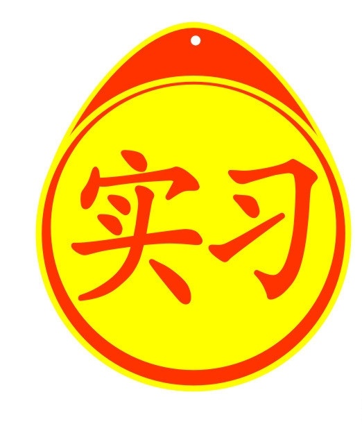 機(jī)動(dòng)車 實(shí)習(xí) 標(biāo)志 駕駛 實(shí)習(xí)標(biāo)志 公共標(biāo)識(shí)標(biāo)志 標(biāo)識(shí)標(biāo)志圖標(biāo) 矢量