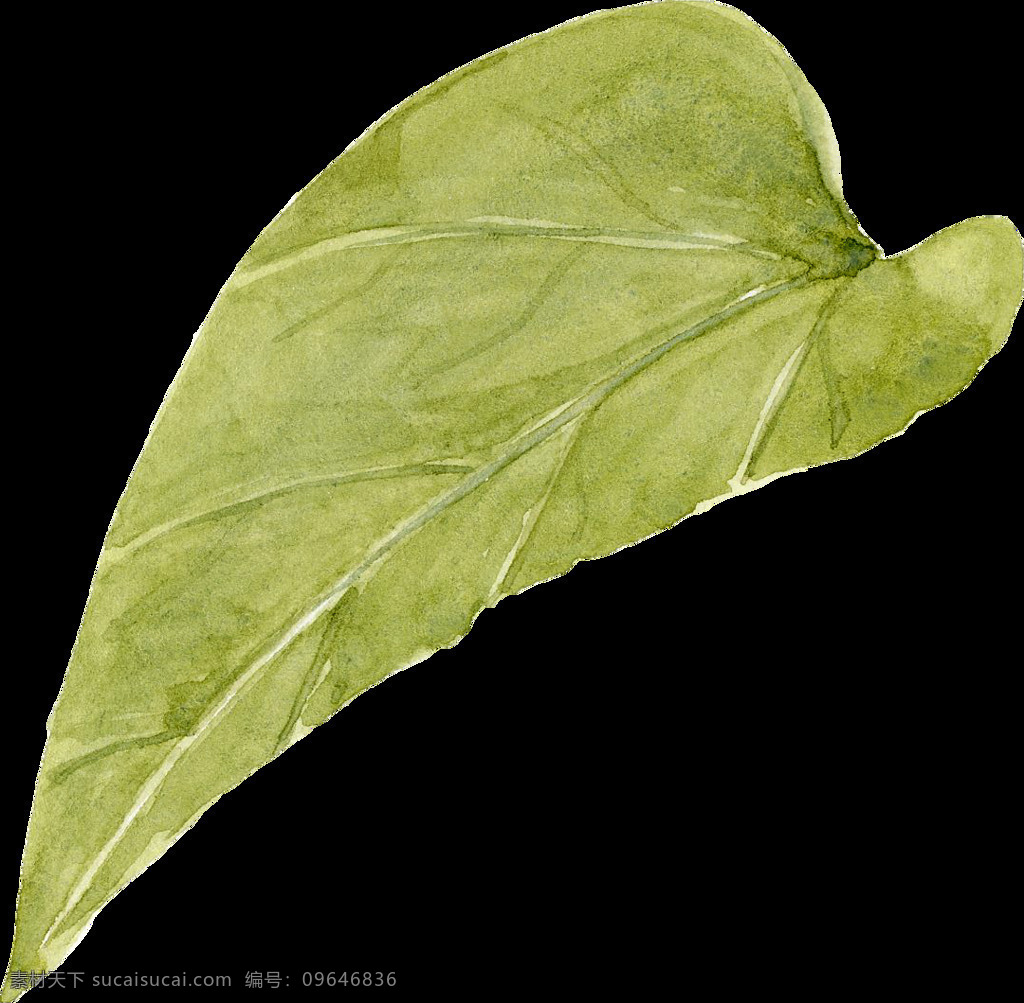 水彩 植物 花朵 裝飾 水彩繪畫 植物花朵 水彩花卉 水彩鮮花 淡色水彩 暖色水彩花朵 菊花玫瑰花 文化藝術(shù) 繪畫書法