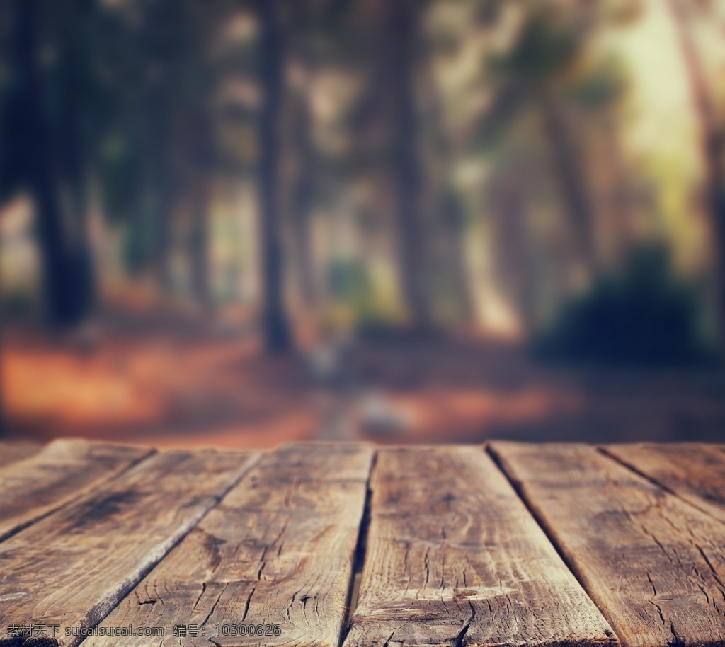 木纹 桌面 森林 背景 海报 素材图片