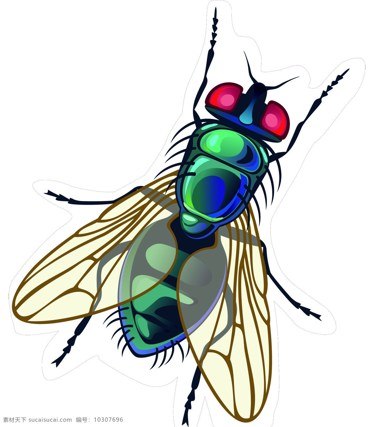 昆虫图片 昆虫 苍蝇 卡通 造型 矢量图