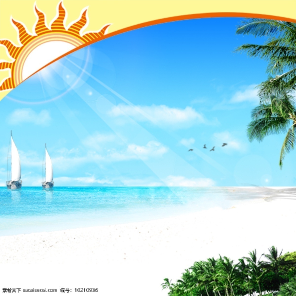 夏日 阳光 海滩 背景 帆船 椰子树 白色