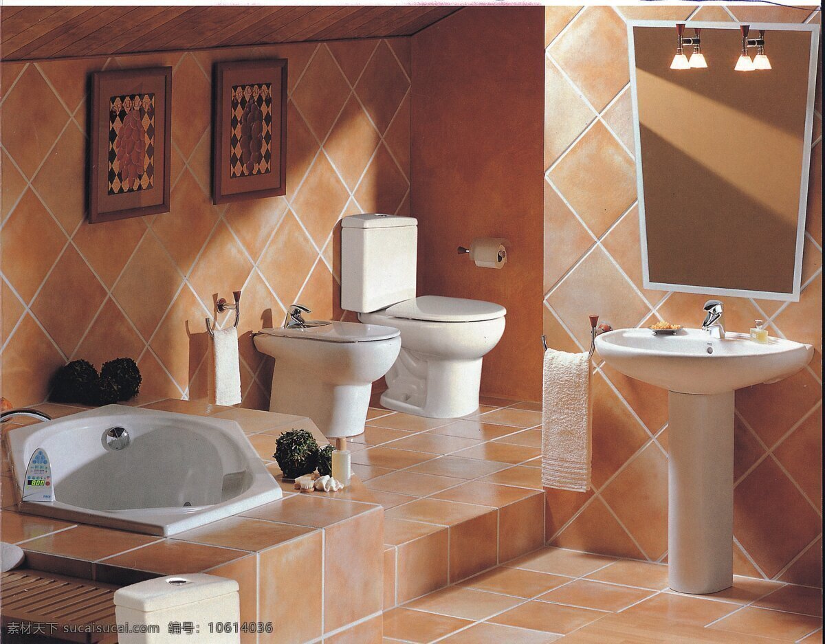 浴室 环境设计 镜子 马桶 生活百科 生活家居 室内设计 室内装修 卫浴空间 洗手盆 浴缸