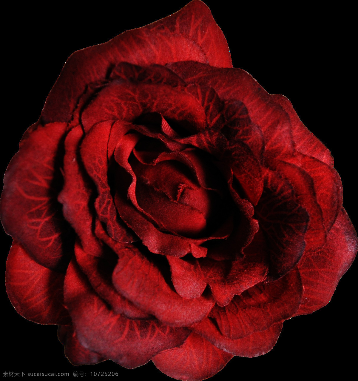 手绘 嫣红 绽放 鲜花 透明 夺目 红色 花瓣 免扣素材 透明素材 鲜艳 艳丽 装饰图片