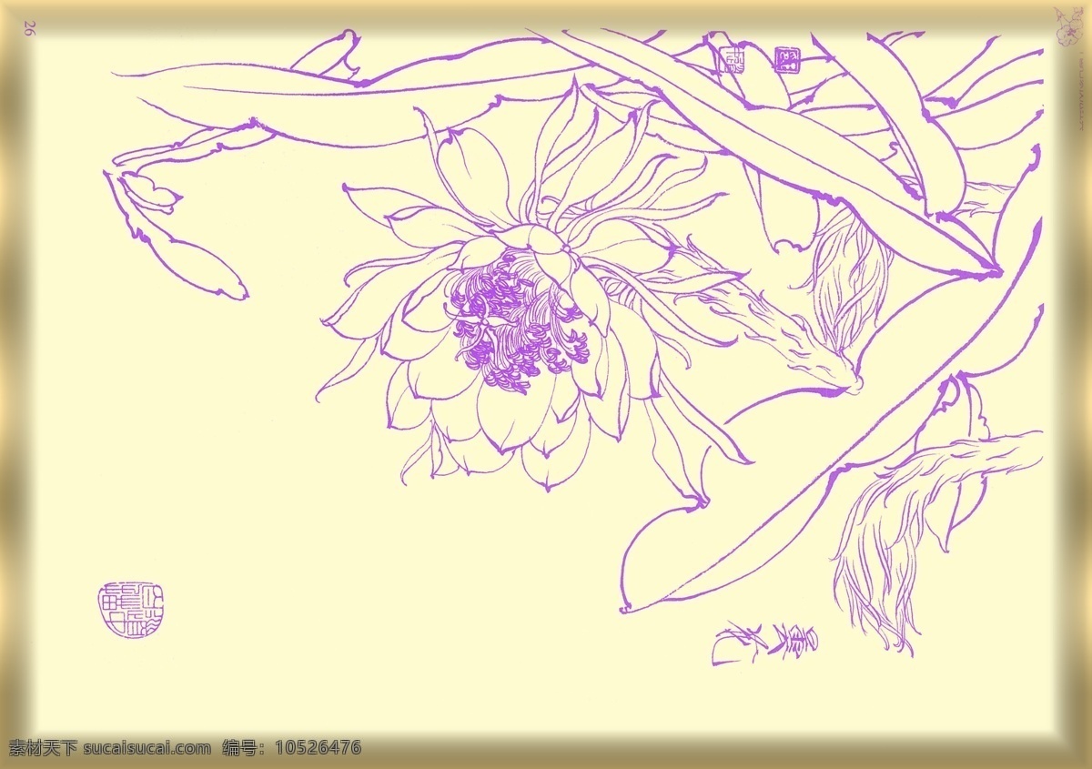 白描花卉 植物 花卉 白描 生物世界 矢量 线描 线画 线稿 中国画 国画 花草 文化艺术