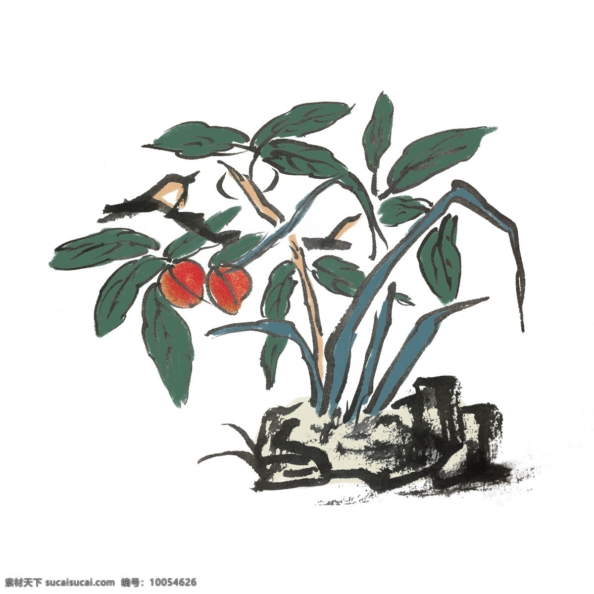 夏天 水墨 花鳥 李子 手繪 插畫 夏季 中國風(fēng) 古風(fēng) 水墨風(fēng) 墨跡 彩色 春天 生動 花草 國風(fēng) 桃子 水果
