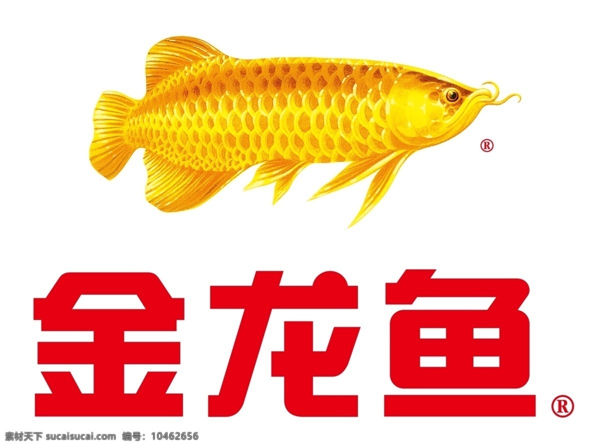金龙鱼比标志 金龙鱼 logo 金龙鱼标识 金龙鱼商标 企业logo