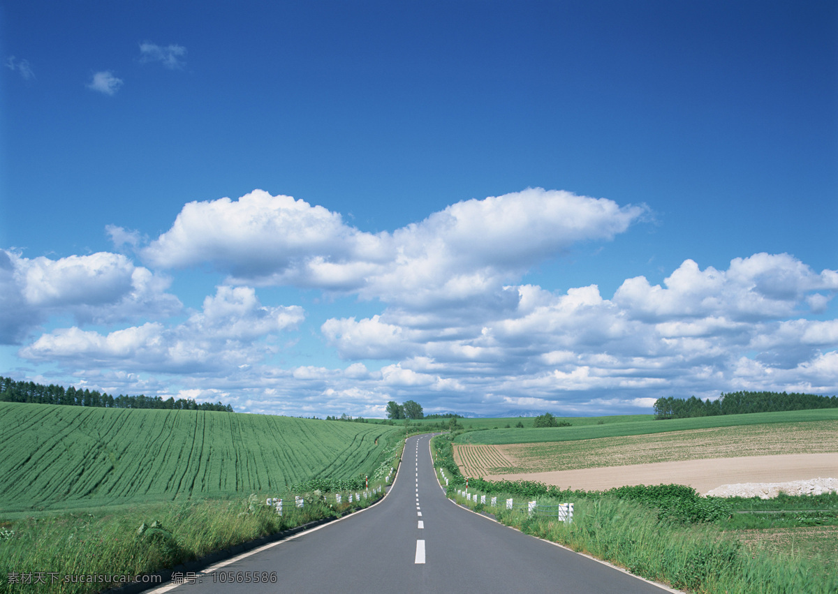 公路免費(fèi)下載 白云 道路 風(fēng)景 公路 郊外 藍(lán)天 綠樹 馬路 攝影圖 生活素材 寬廣 視野 野外 生活百科 圖片庫 生活 旅游餐飲