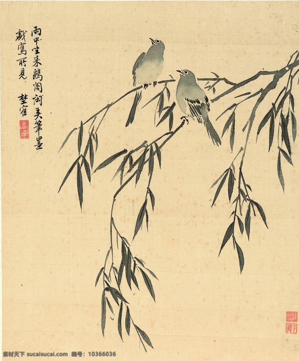 植物花鳥(niǎo)國(guó)畫(huà) 清 楊晉 涂鴉畫(huà) 花卉圖 花卉 鳥(niǎo)雀 風(fēng)景畫(huà) 花卉寫(xiě)生 植物花朵繪畫(huà) 裝飾畫(huà) 中國(guó)風(fēng) 花草繪畫(huà) 蝴蝶昆蟲(chóng)繪畫(huà) 復(fù)古繪畫(huà) 名家繪畫(huà) 清代畫(huà)家 花卉集 字畫(huà) 水彩植物 花鳥(niǎo)冊(cè) 中國(guó)畫(huà) 工筆畫(huà) 工筆畫(huà)鳥(niǎo) 工筆 古代 花鳥(niǎo)魚(yú)蟲(chóng) 植物圖譜 植物圖集 畫(huà)家繪畫(huà) 樹(shù)枝 柳條 文化藝術(shù) 繪畫(huà)書(shū)法