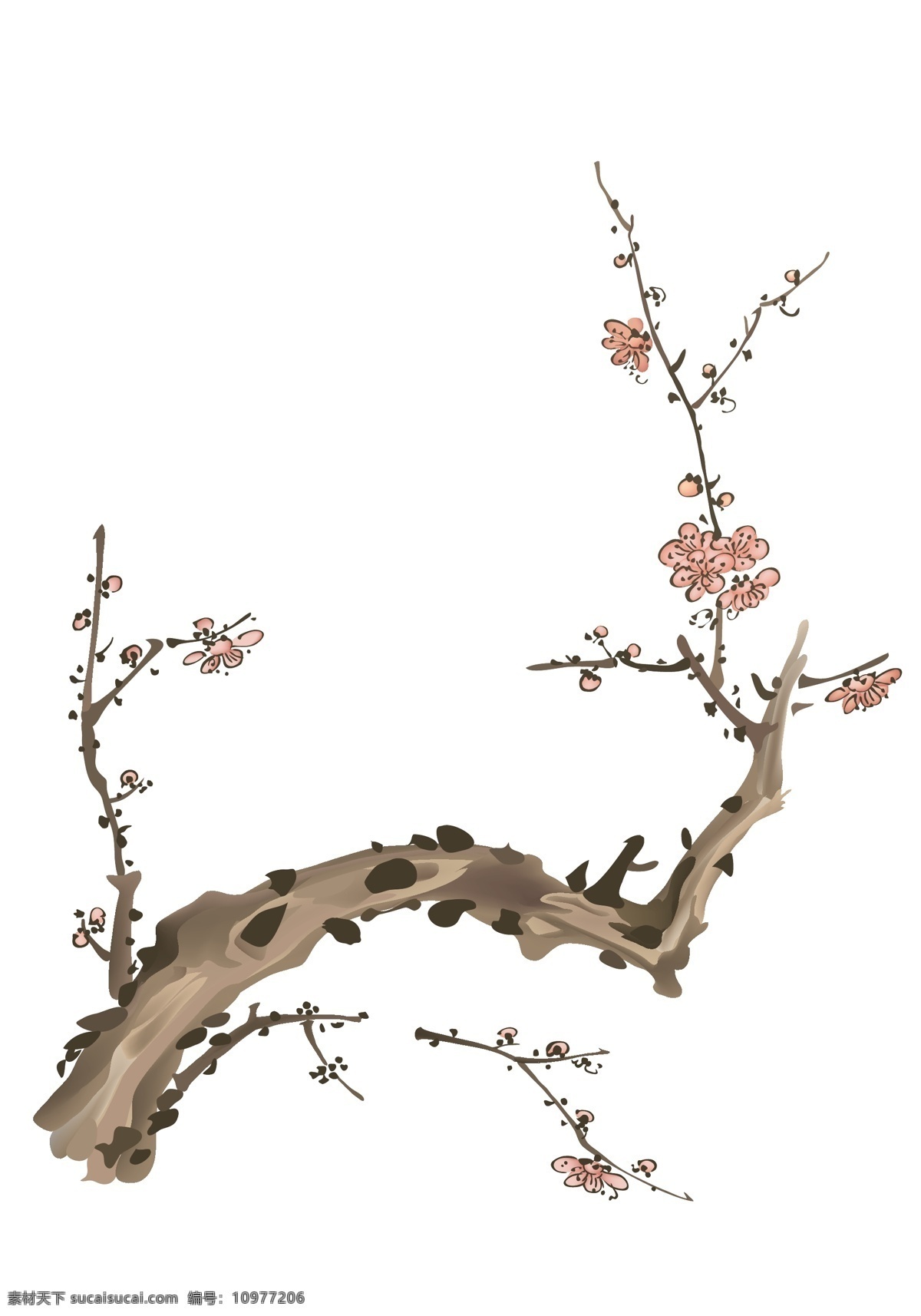 梅花矢量 装饰 中国元素 花卉 图案 树枝 分层