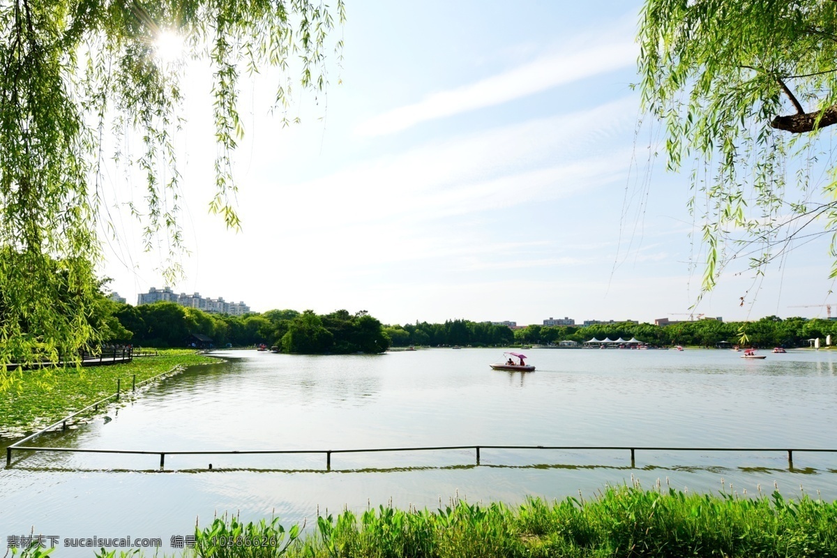 闵行 体育 公园 杨柳 条 下 湖 上海风光 公园风景 柳条 湖水 绿色景观 自然 城市公园写真 实景 风光摄影 公园漫步 植物 背景壁纸 墙纸 桌面 原创摄影作品 素材分享 上海公园风光 自然景观 自然风景
