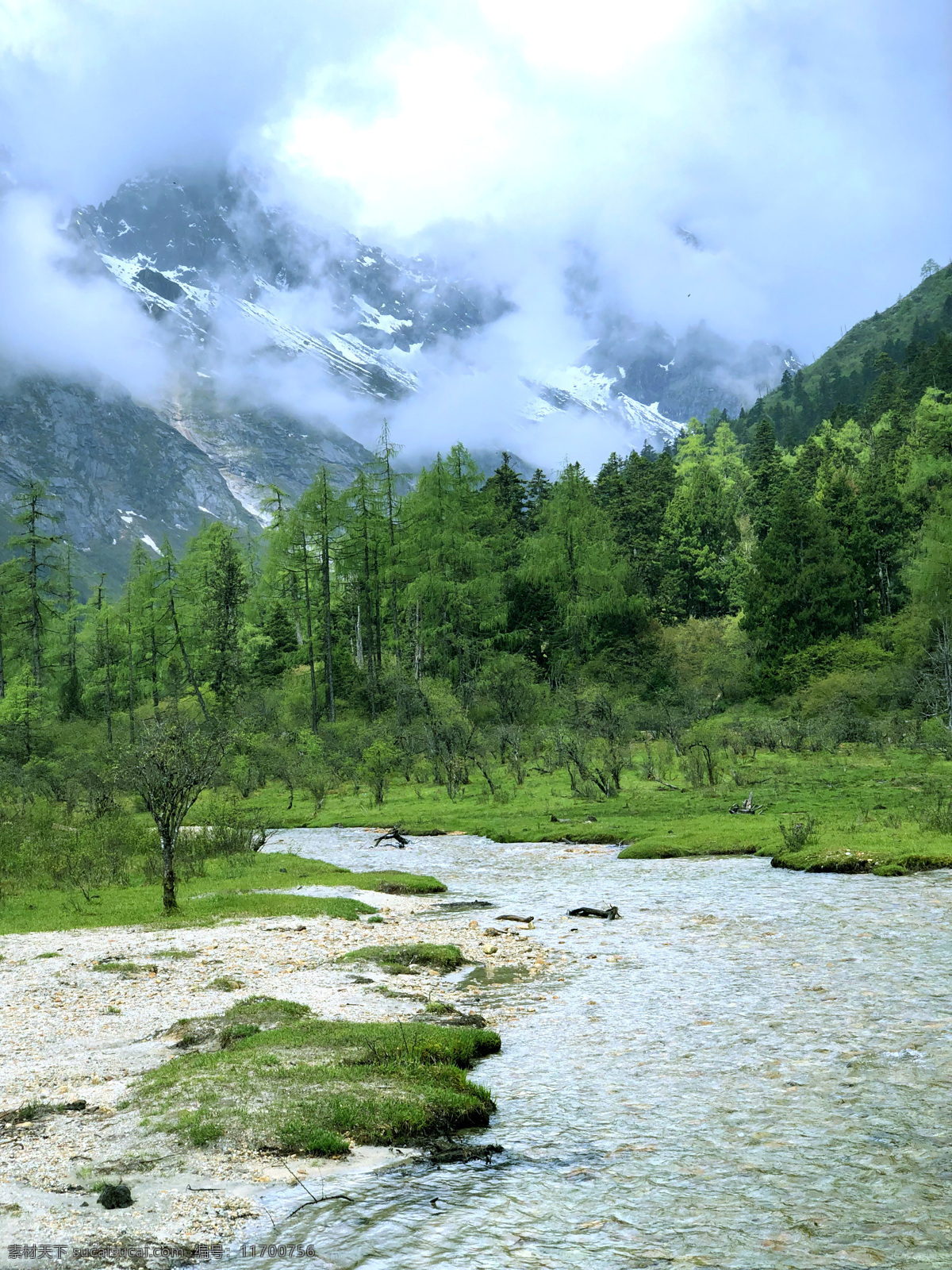 畢棚溝 四川風(fēng)光 阿壩旅游 自然風(fēng)光 阿壩風(fēng)光 群山環(huán)抱 高原海子 雪山山峰 畢棚溝溝口 畢棚溝景區(qū) 高原叢林 高山森林植被 龍王海 海拔 藍(lán)天 白云 高山 天空 雪山 雪山山頂 山頂 森林風(fēng)光 森林風(fēng)景 大自然 山水風(fēng)景 高原松林 高原湖泊 河水 湖光山色 植被 旅游攝影 自然風(fēng)景