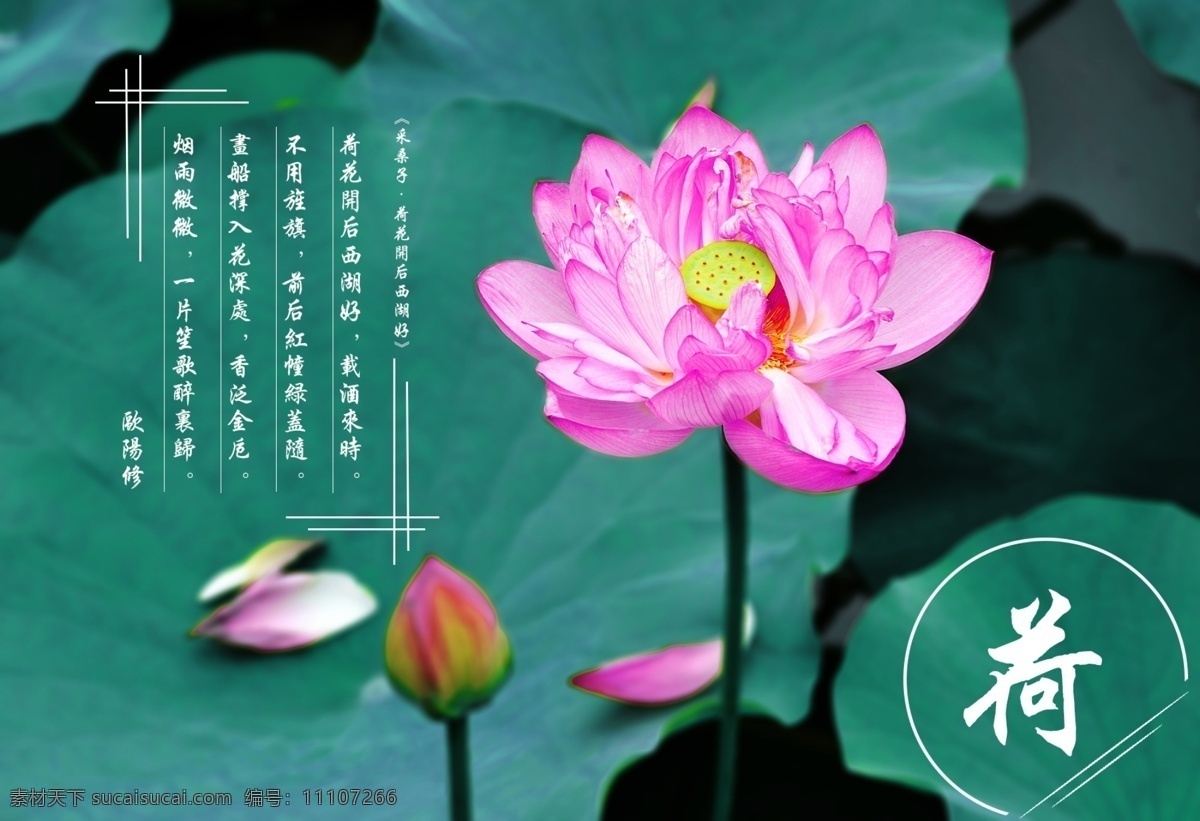 荷花 詩(shī)句 banner 背景 網(wǎng)頁(yè) 網(wǎng)站 清新 輪播海報(bào)