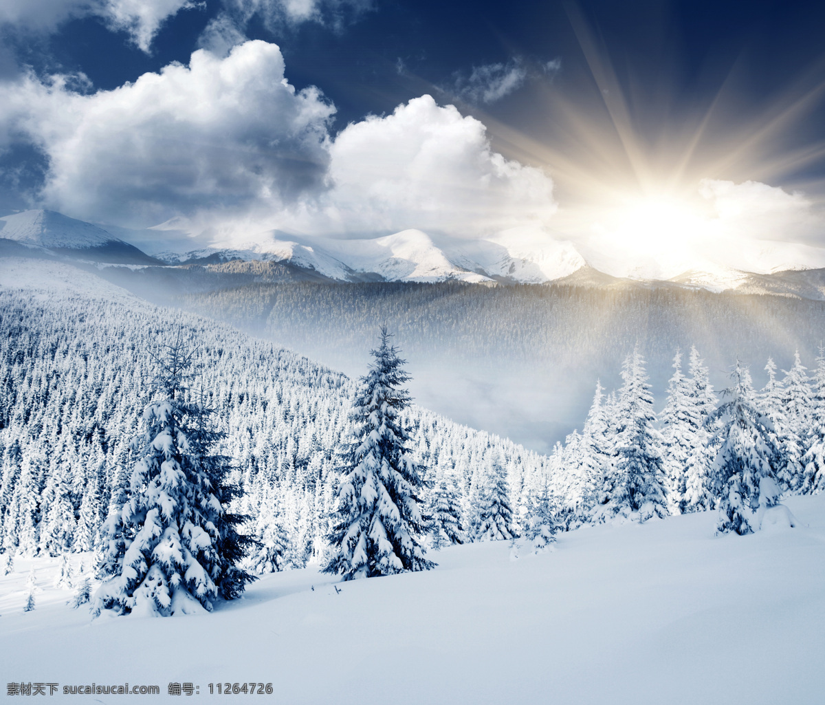 冬天 积雪 美景 冬季 雪景 美丽风景 景色 雪地 森林 树木 冬季景观 山水风景 风景图片