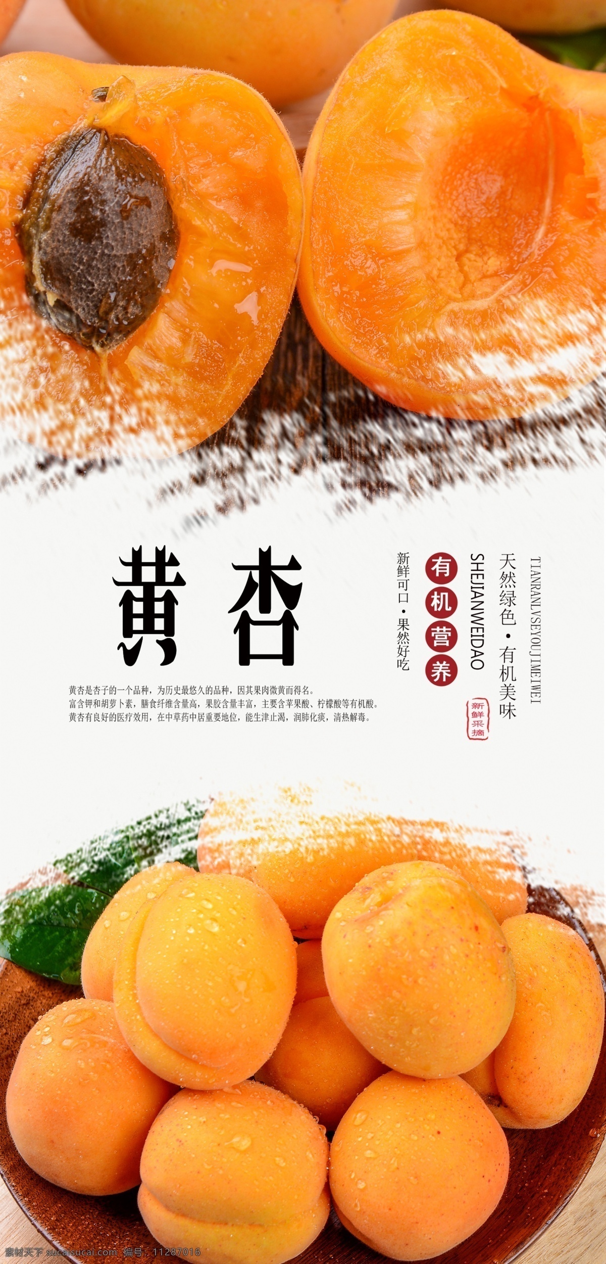 黄杏海报 黄杏 杏 杏子 水果 新鲜 天然 有机 无公害 绿色 健康 美味 分层