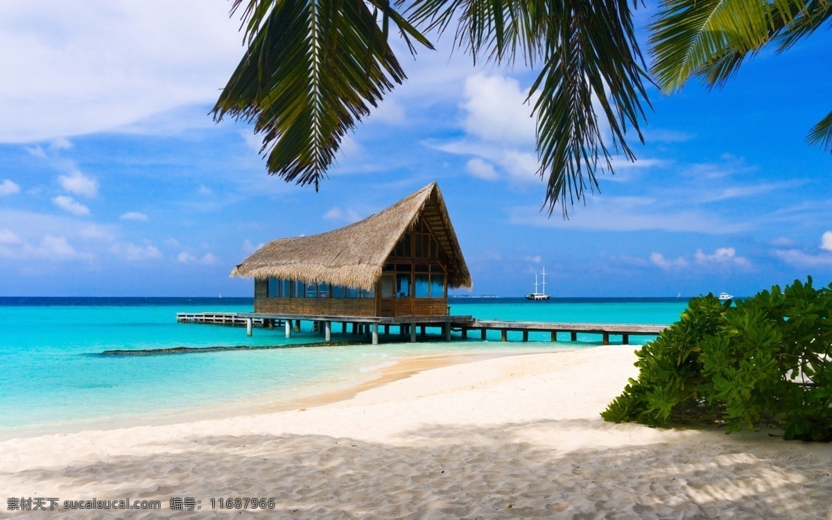 巴哈马 群岛 壁纸 大全 海水 树木 天空 热带树 碧海蓝天 沙滩 旅游风光 国外旅游 旅游摄影