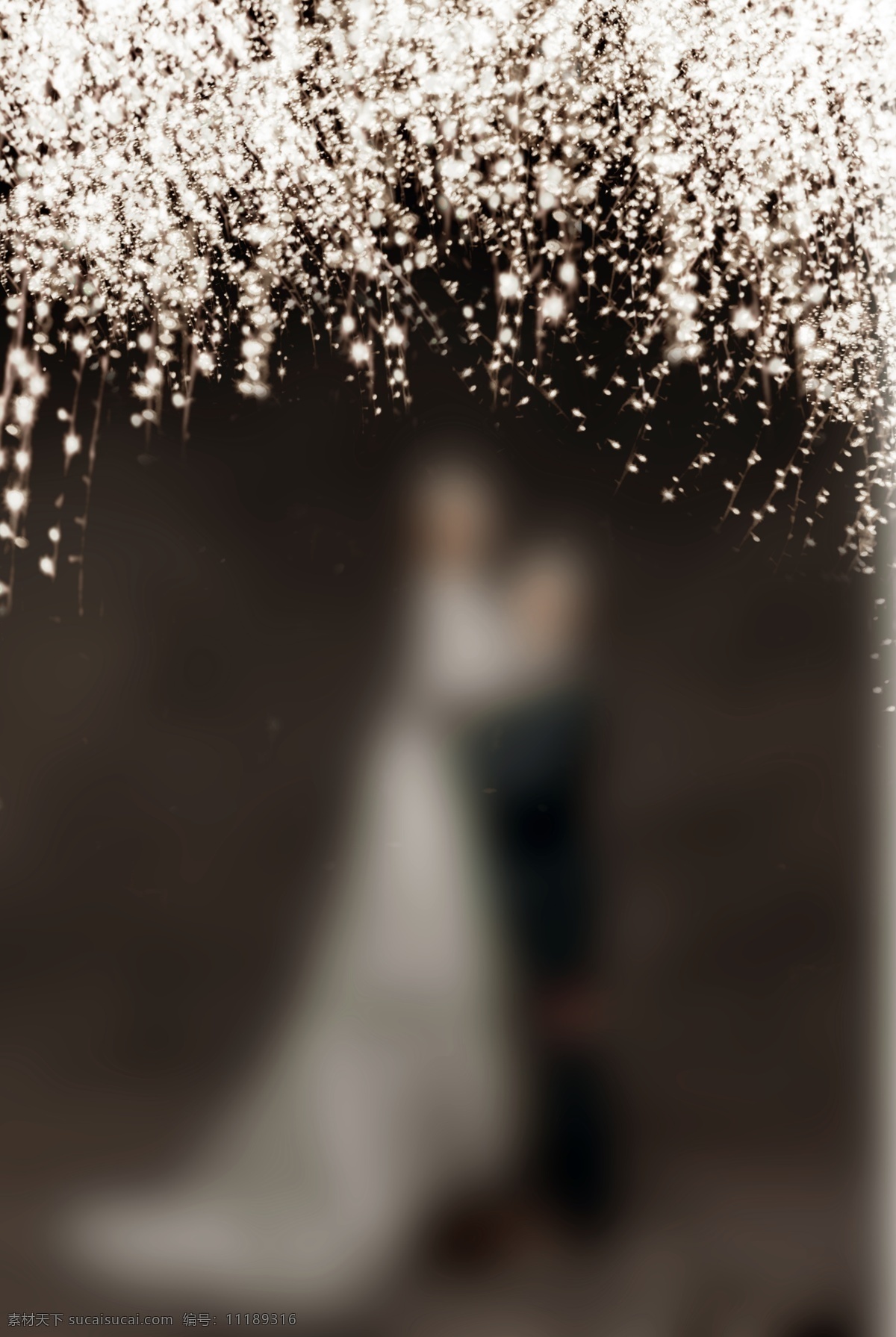 婚紗攝影模板 新款模板 婚紗照 樣片模板 模板套片 風(fēng) 舞 婚紗攝影 模板 攝影模板