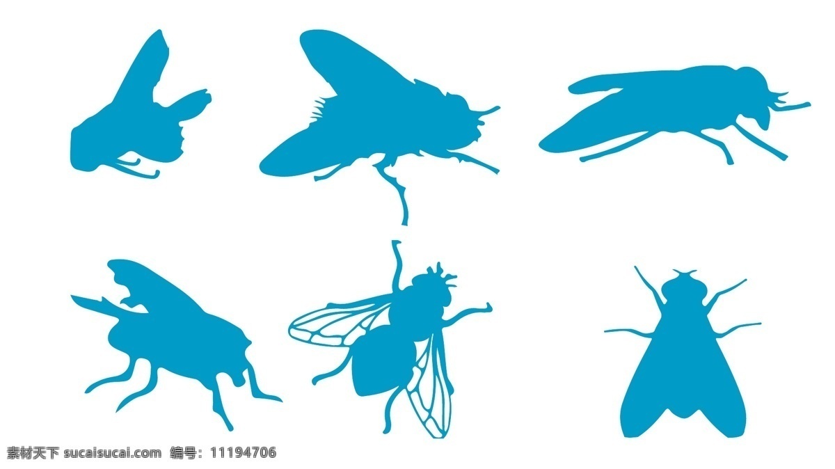 苍蝇素材 苍蝇 害虫 昆虫 虫 矢量 生物世界