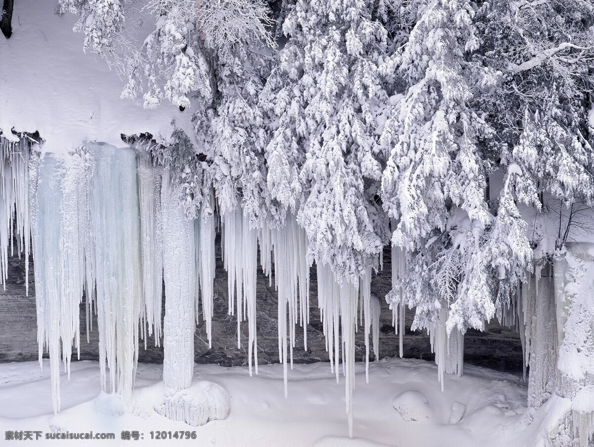 冰雕 冰 雪 樹(shù)木 霧淞 冰川 樹(shù)根 自然風(fēng)景 自然景觀(guān)