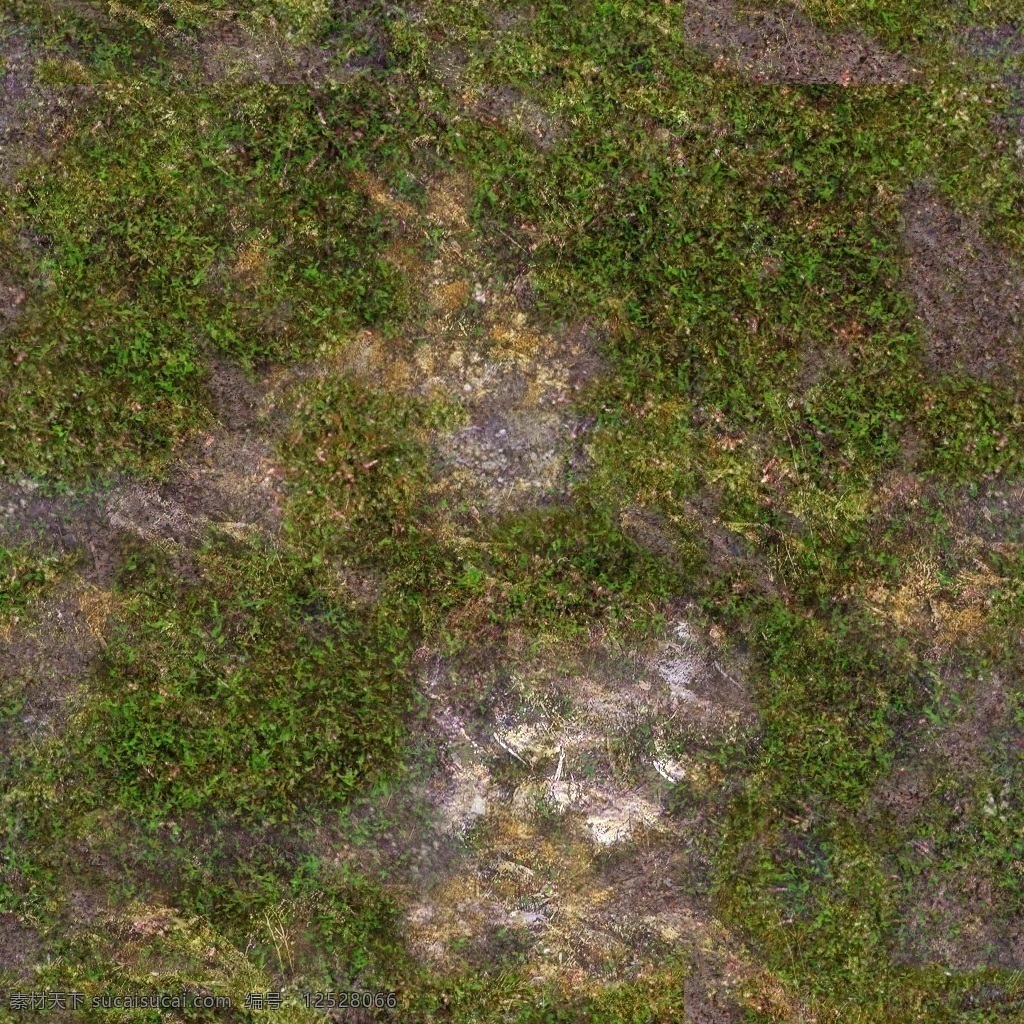 高清地表 山體表面 高清 地表 山體 植物 綠 花草 生物世界