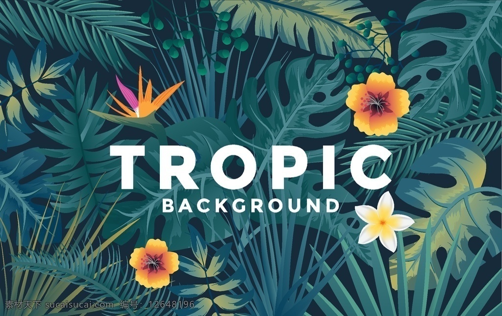 热带夏季 背景广告 海报矢量素材 夏日植物 装饰背景 热带植物 矢量图 印花 底纹边框 背景底纹