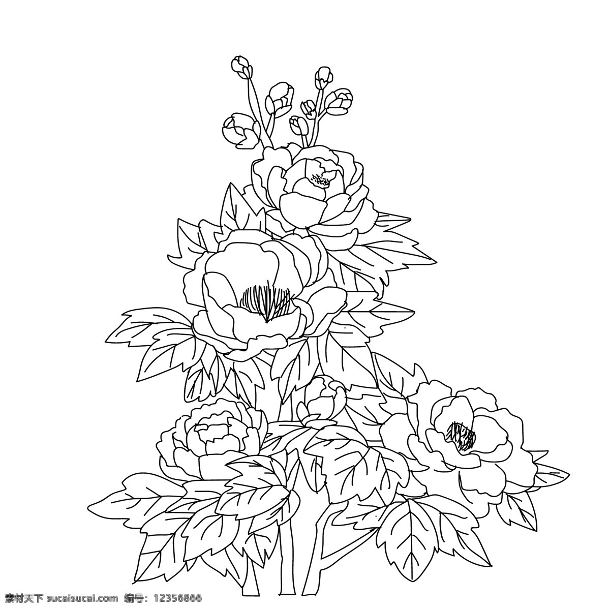 矢量 线 稿 牡丹 牡丹插画 手绘牡丹 手绘牡丹插画 卡通牡丹 牡丹线稿 矢量牡丹 矢量牡丹插画 手绘矢量牡丹 牡丹简笔画 牡丹素材 牡丹元素 牡丹背景 粉色花卉 手绘花卉 水彩花卉 原创手绘 写意牡丹 国色天香 富贵呈祥 手绘 牡丹花 卡通设计