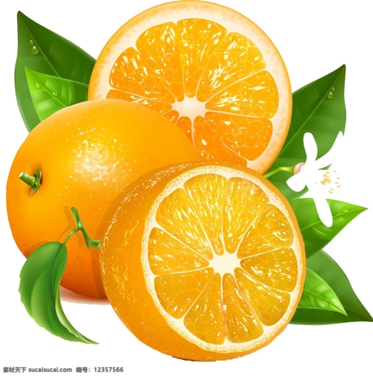 橙子图片 橙子 元素 果肉 新鲜 水果