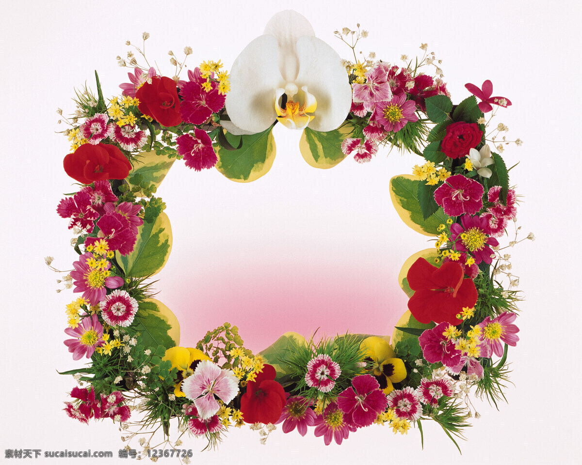 手工 精致 花卉 相框 精致花卉相框 创意花卉相框 花卉相框图片 花卉相框
