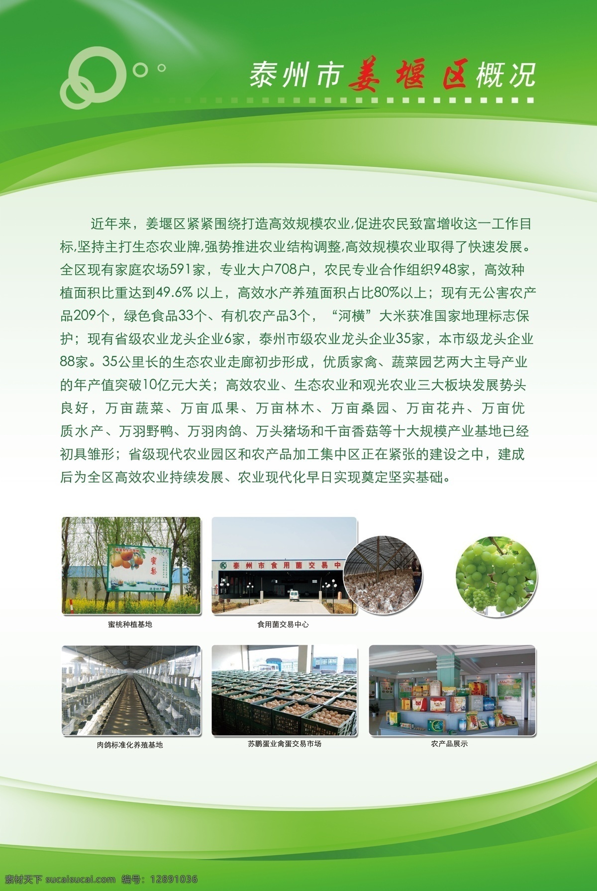 農(nóng)業(yè) 展板 廣告設(shè)計模板 農(nóng)業(yè)展板 源文件 展板模板 展示展板 姜堰農(nóng)業(yè) 姜堰風貌 泰州姜堰 泰州 生產(chǎn) 展示 矢量圖 日常生活
