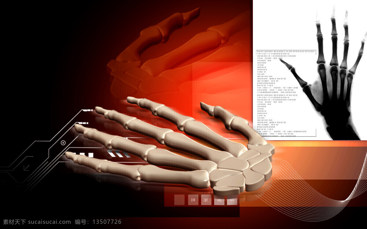 手掌 骨骼 手掌骨骼 人体器官 医疗背景 医疗科学 背景底纹 医学背景 医疗护理 现代科技