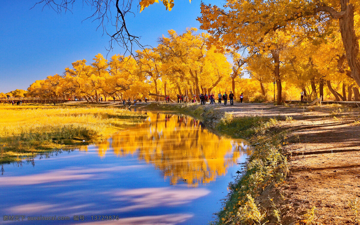 秋天的景色 秋天 景色 河水 枫叶 树 枫树 旅游 人物 黄色 金黄 倒影 蓝天倒影 旅游摄影 自然风景