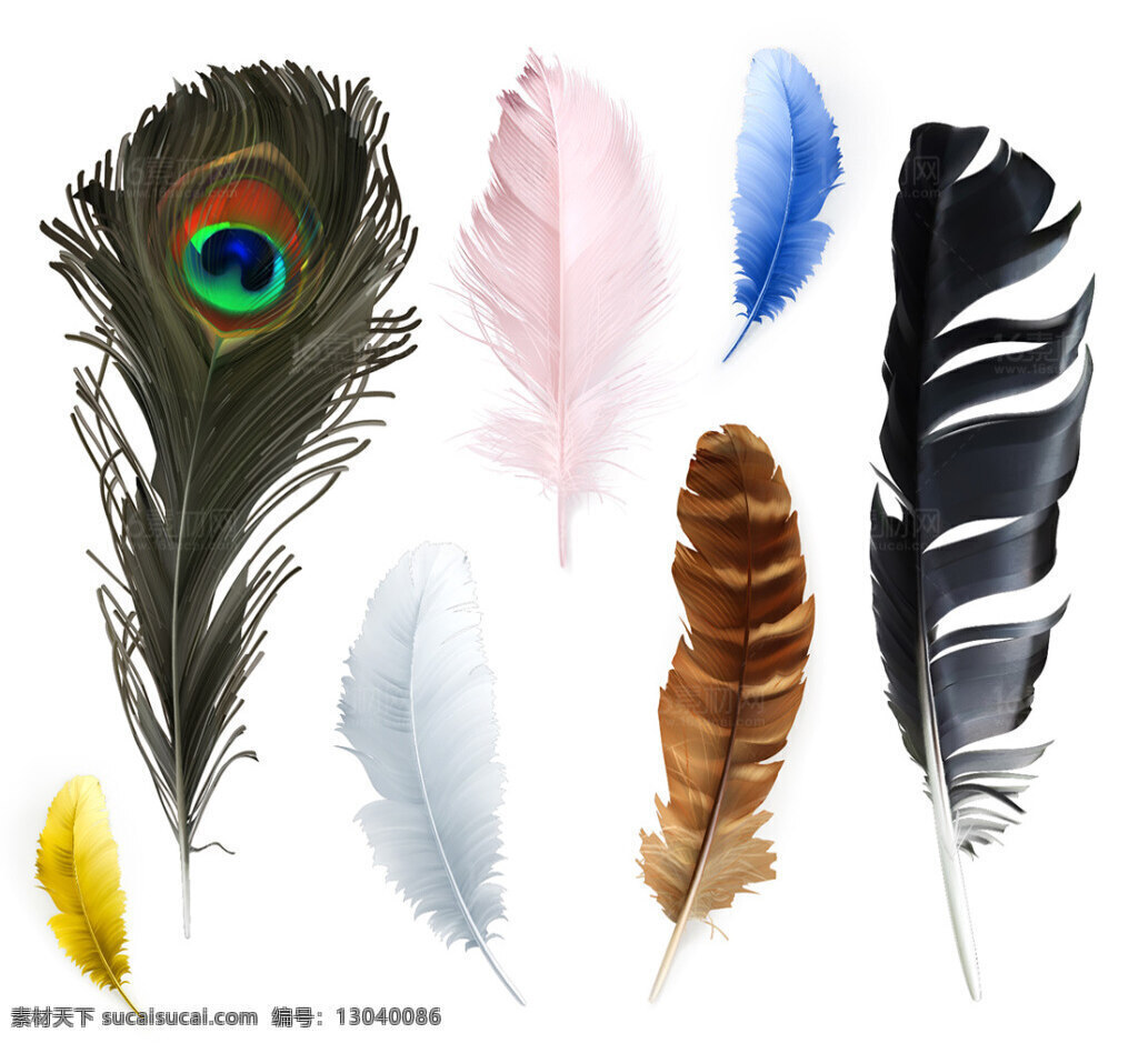 鸟类 羽毛 矢量 羽毛背景 彩色羽毛 创意背景 时尚背景 抽象背景 其他生活 百科 孔雀 白色羽毛 黑色羽毛 黄色羽毛 蓝色羽毛