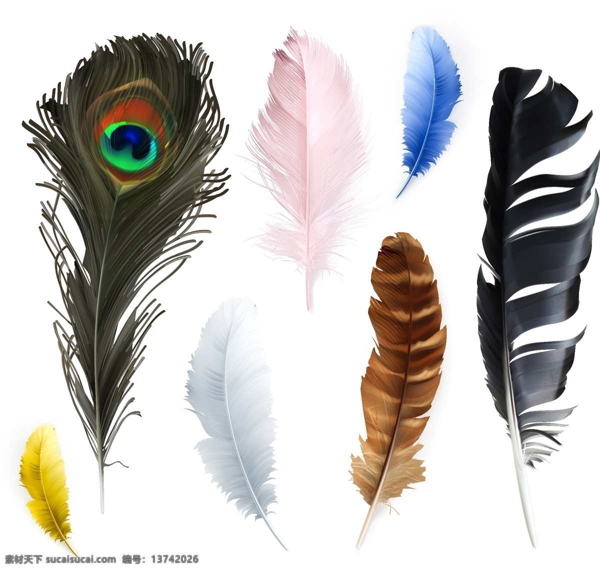 鸟类 羽毛 矢量 鸟类羽毛 羽毛背景 彩色羽毛 创意背景 时尚背景 抽象背景 高清图片