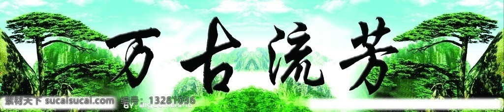 萬古流芳 松樹 泰山松