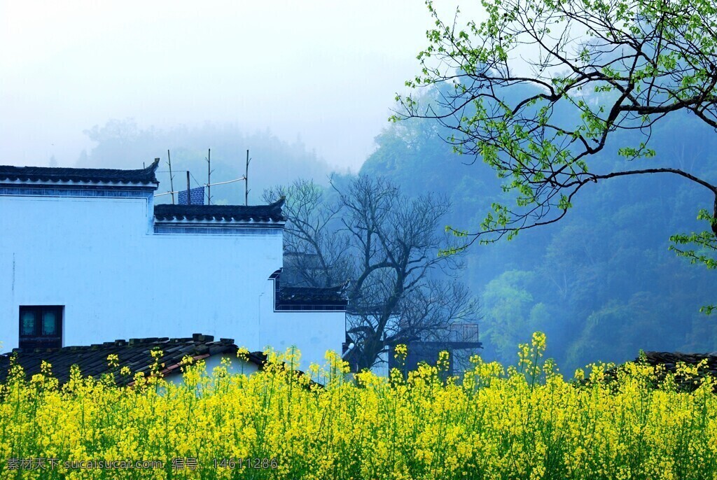 油菜花田 傳統(tǒng)建筑 朦朧山巒 田野風(fēng)光 春季景色 白墻黛瓦 自然風(fēng)景 鄉(xiāng)村田園 綠色樹木 黃色花海 清新寧靜 田園詩意 和諧美景