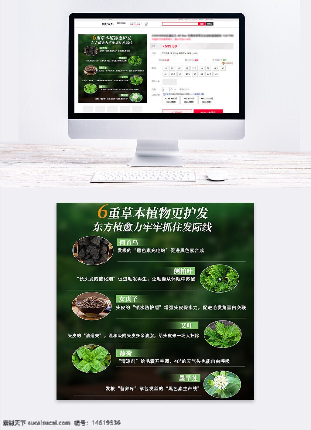 草本護發(fā) 植物提取 黑色素合成 防脫發(fā) 頭皮清潔 頭皮護理 毛囊修復 天然成分 養(yǎng)發(fā)護發(fā) 草本精華 頭皮健康 植物養(yǎng)發(fā) 護發(fā)產品 綠色主題 電商設計 直通車主圖