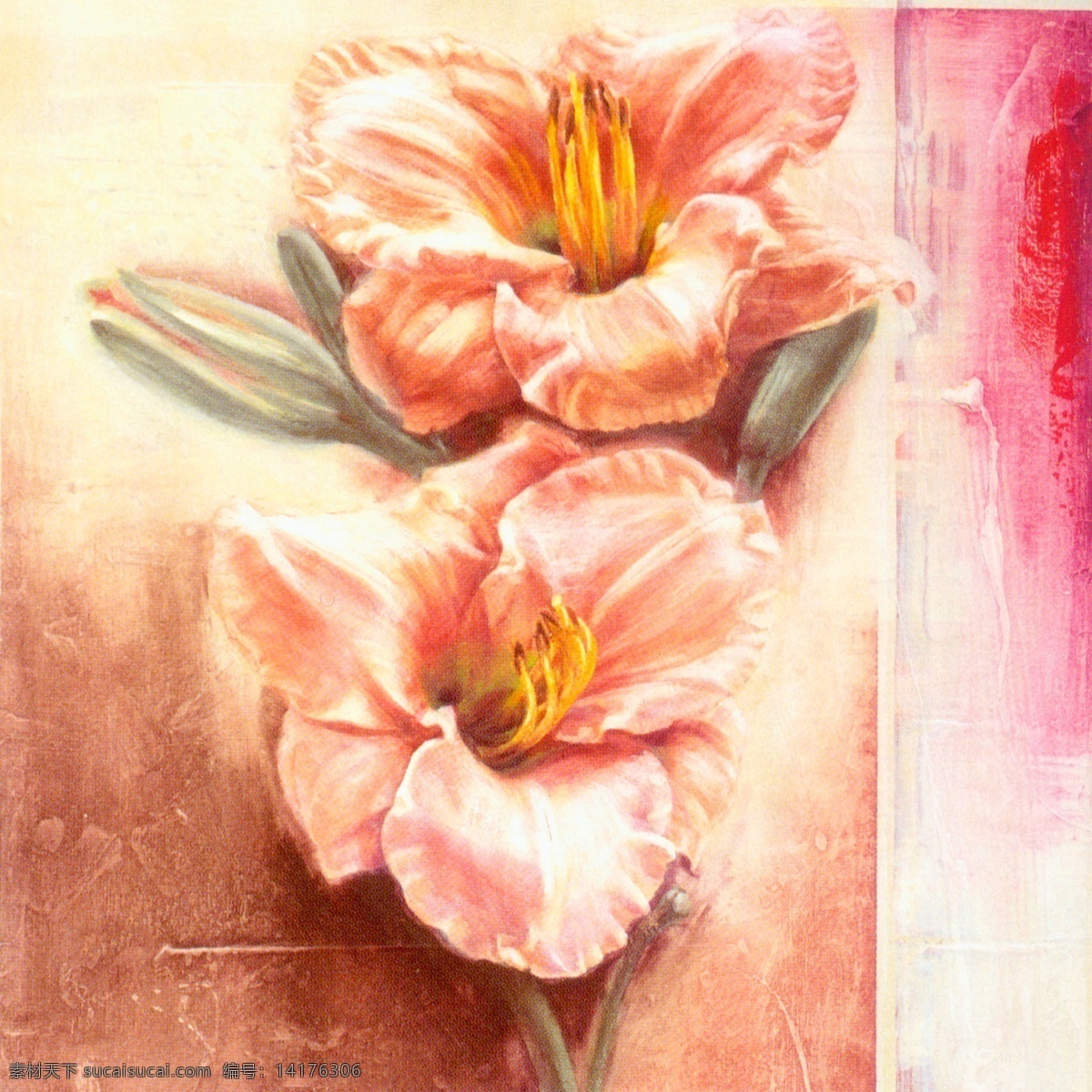 花卉油画 60厘米 x 花 花卉 手绘 油画 装饰画 无框画 扫描 大图 清晰 写真 喷绘 印刷 植物 花朵 抽象 写生 百合 特写 绘画书法 文化艺术