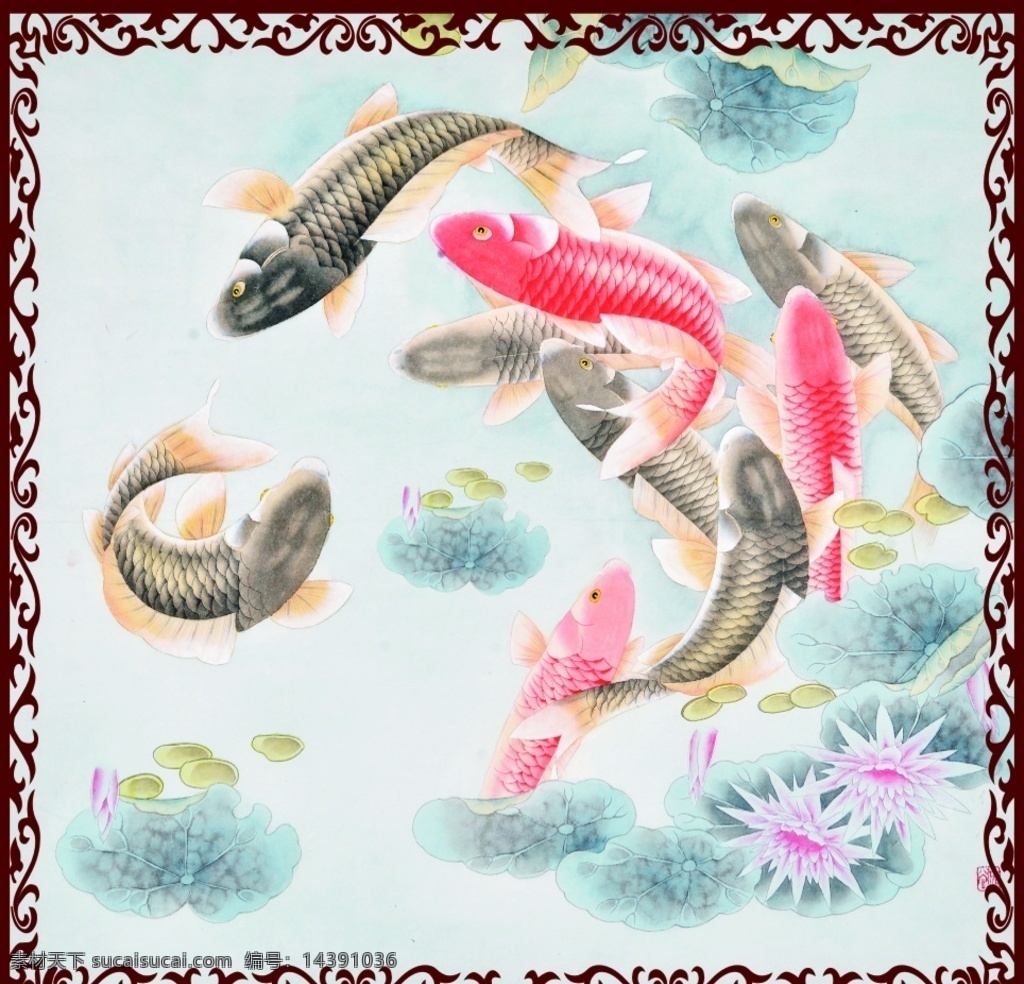 九錦鯉魚 鯉魚 九錦 魚類 畫 裝飾 純 不是 矢量圖